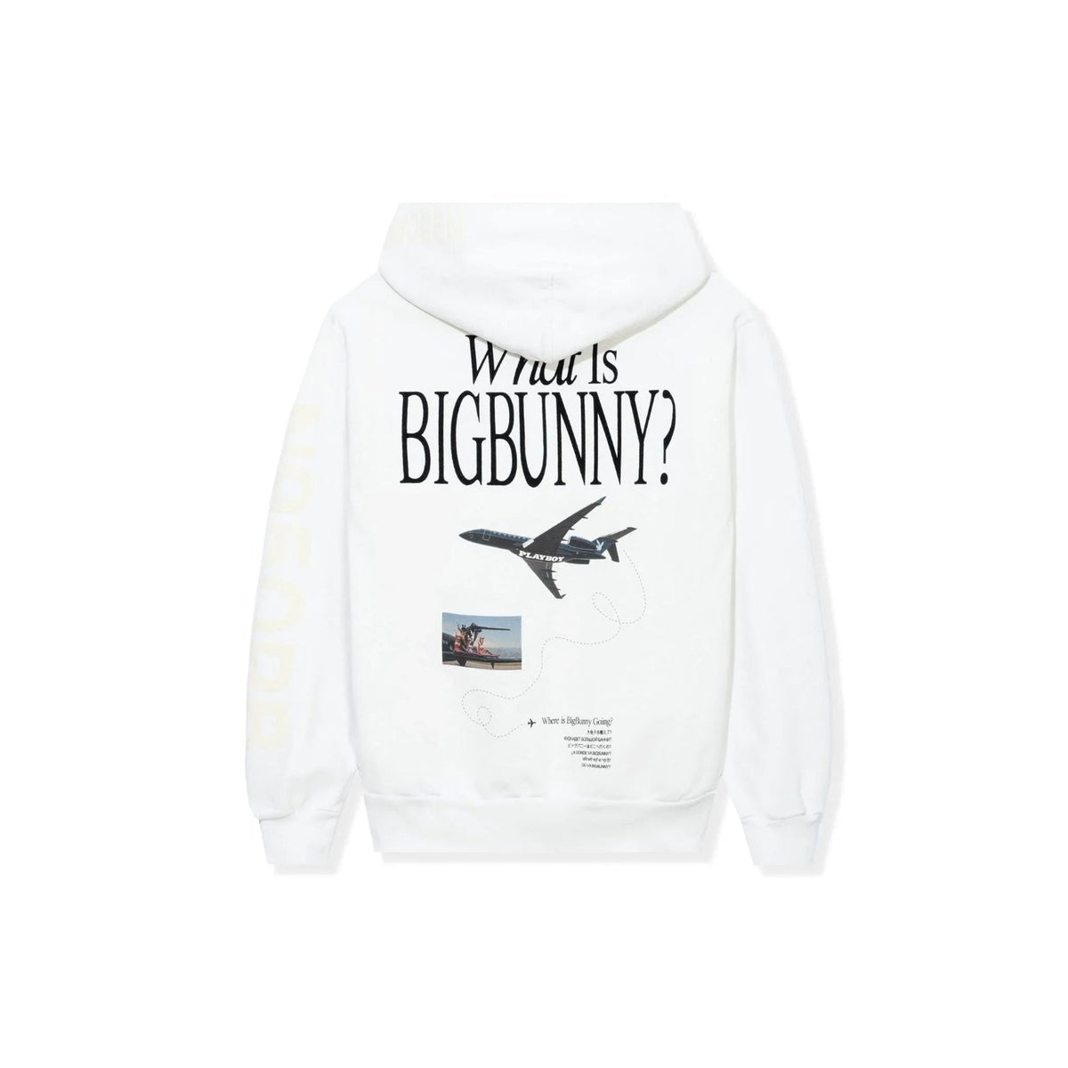 Playboy Aviation Wings N950PB Hoodie
