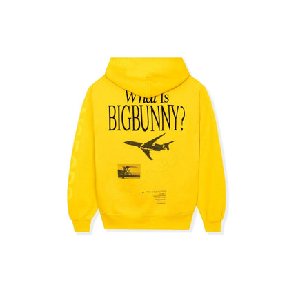 Playboy Aviation Wings N950PB Hoodie