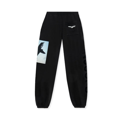 Playboy Aviation Wings N950PB Sweatpants