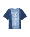 Cloudy Blue