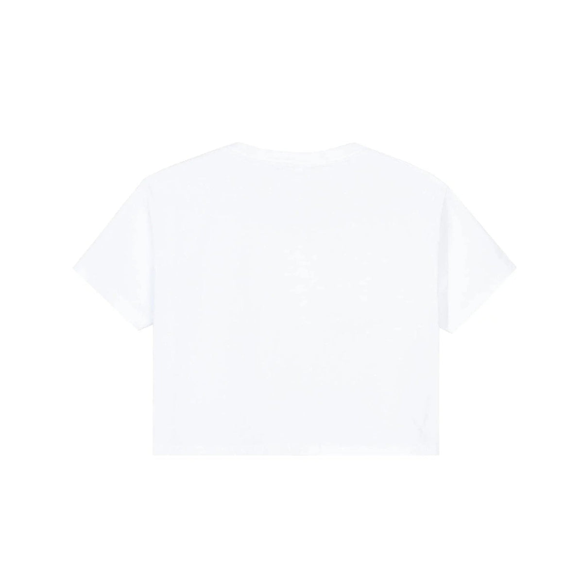 Playboy x Color Bars Static Women's Cropped T-Shirt